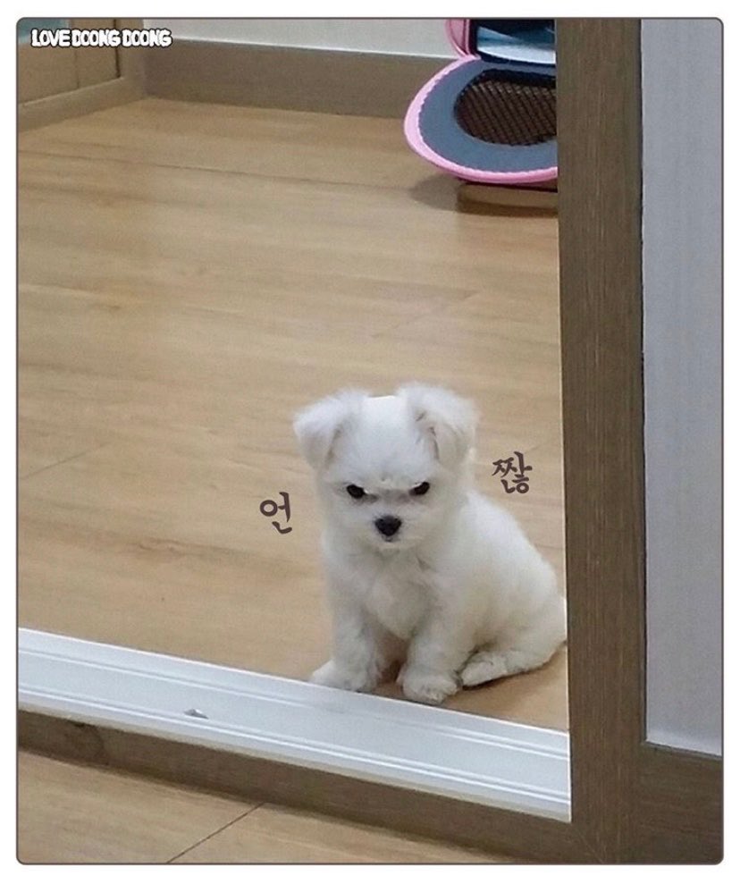 아 정국이 왜 빡쳤지? | 인스티즈