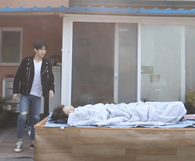 짤쫄이 호록 | 인스티즈