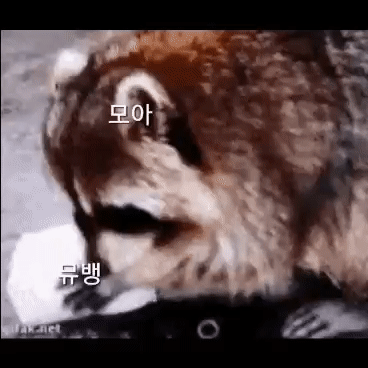 뮤뱅이 있었는데 없어요 | 인스티즈