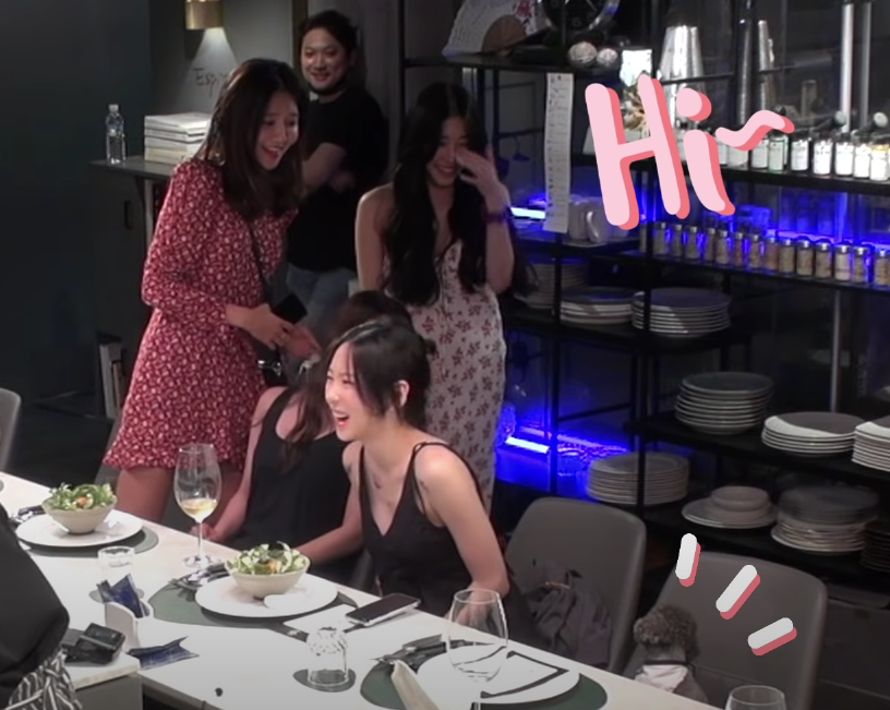 태연 강아지 제로 진짜 귀엽다 | 인스티즈