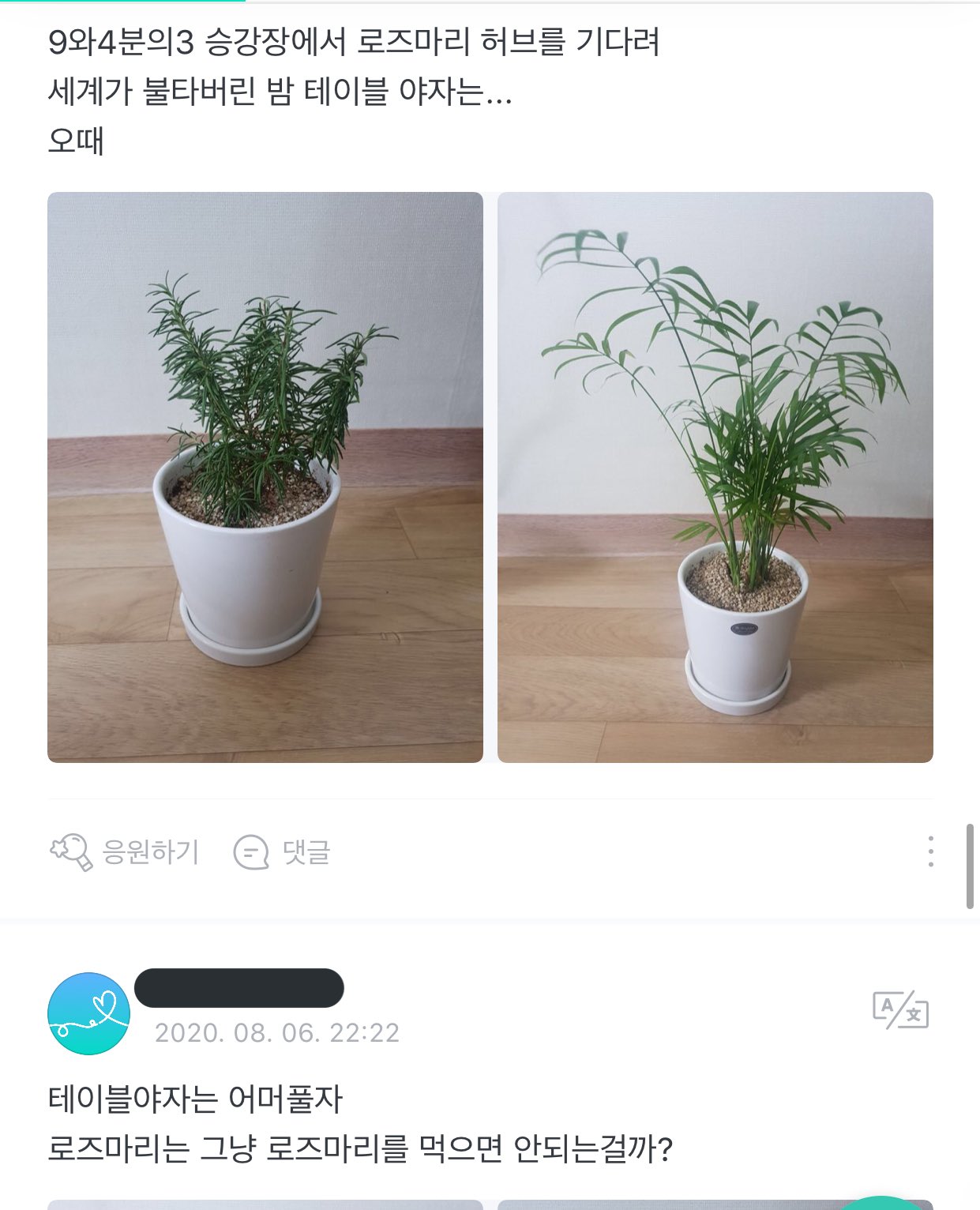 투바투 수빈 : 식물 이름 지어주세요! 모아 : | 인스티즈