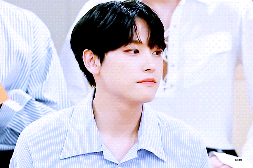 고양이중에서 가장 사람같네 | 인스티즈