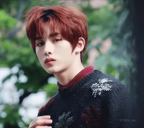 나 지금 웨이션브이 사진 구하고 있는데 저 느낌 나는 사진 줄 수 있는 사람? | 인스티즈