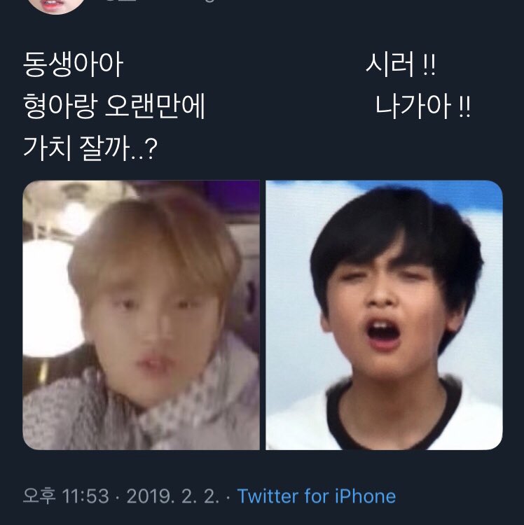 야이거진짜미쳤다 개귀엽다 | 인스티즈