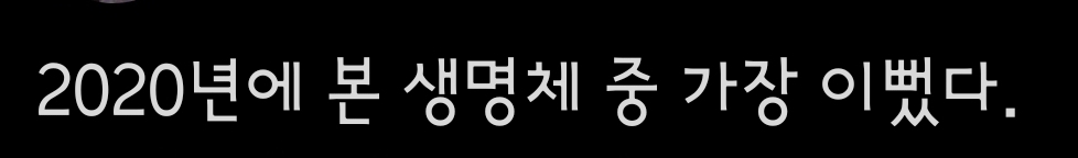 뉴이스트 렌 어제 뮤지컬 후기중에 딱 한줄평 ㅋㅋㅋㅋㅋ | 인스티즈