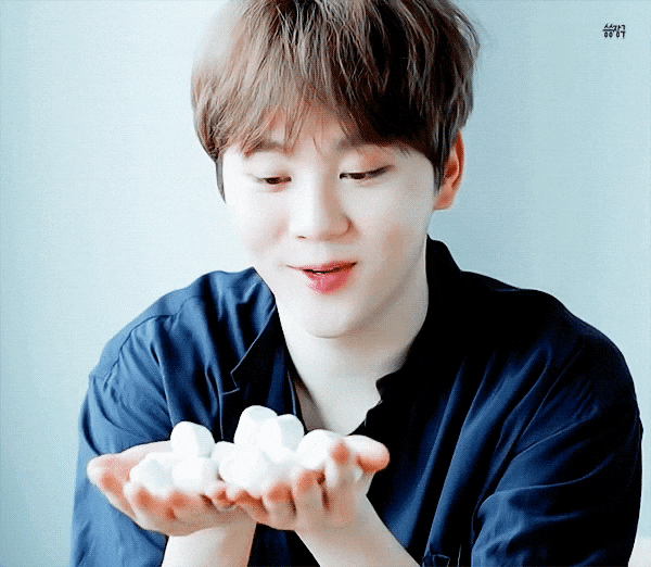 부승관 별명 말랑콩떡으로 지은거 진짜 잘지은 것 같음,,, | 인스티즈