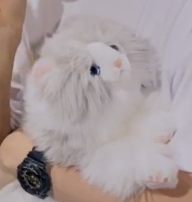 팬 : 오빠 그래도 욕 안해서 다행이네요 | 인스티즈