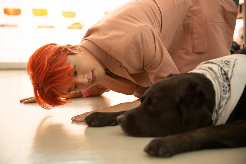 토끼가 멍뭉이 따라해ㅋㅋㅋㅋㅋㅋㅋ | 인스티즈