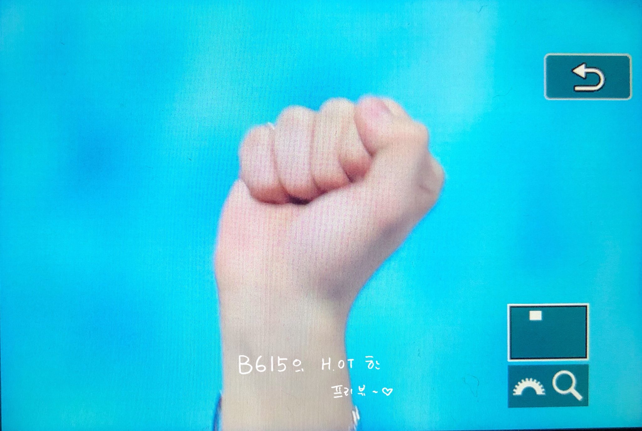 호시 손 봐ㅋㅋㅋㅋㅋㅋㅋㅋㅋㅋㅋㅋㅋ | 인스티즈