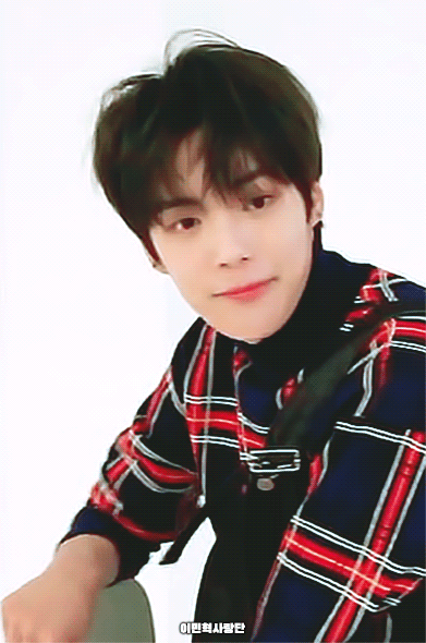 울 미녀기 보고싶다 ㅠㅠ울 말티쥬 | 인스티즈