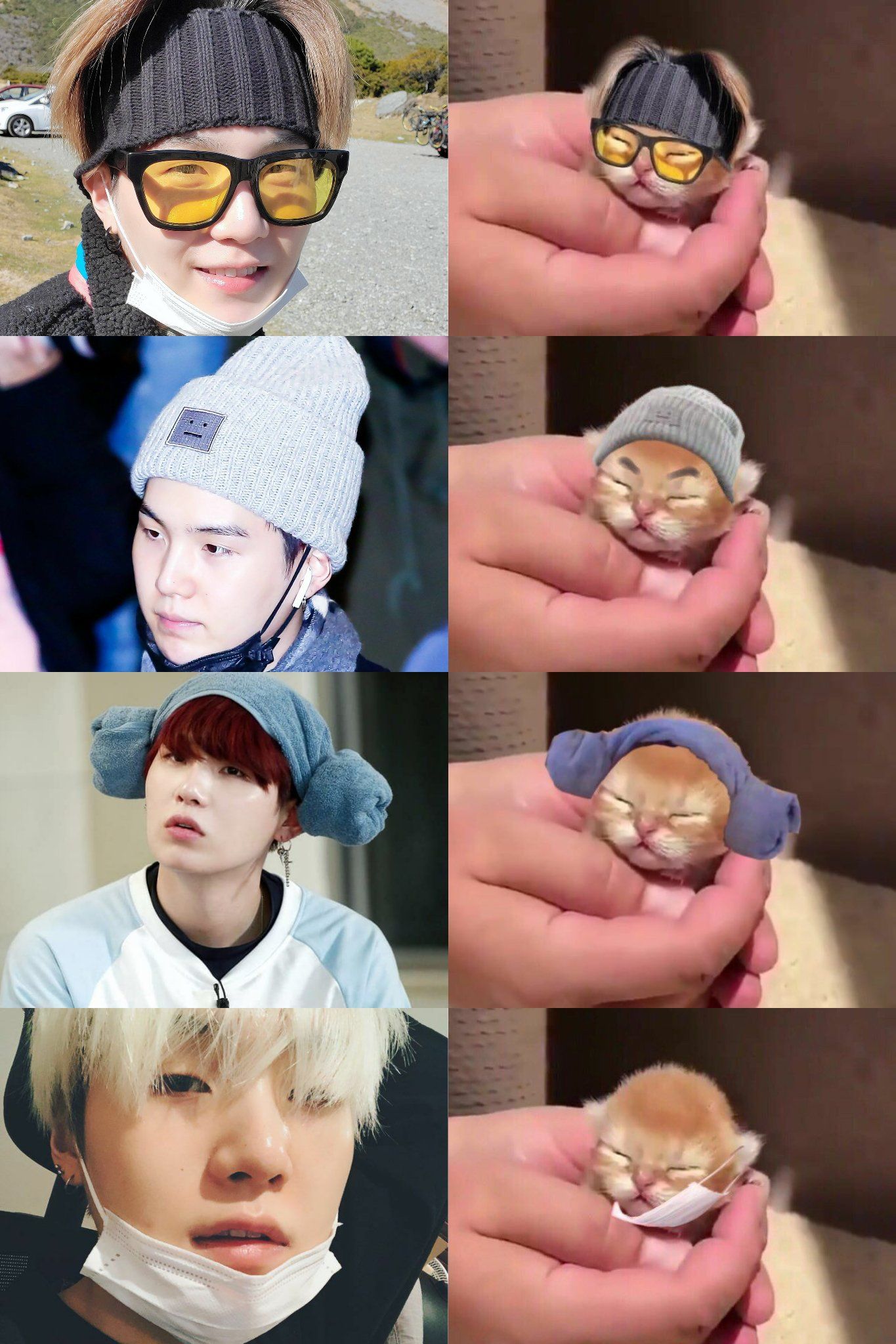 오늘은 세계 고양이의 날...고양이의날을 맞이하여 우리장르 애옹이 민윤기 워더하러 왔음🐱 | 인스티즈