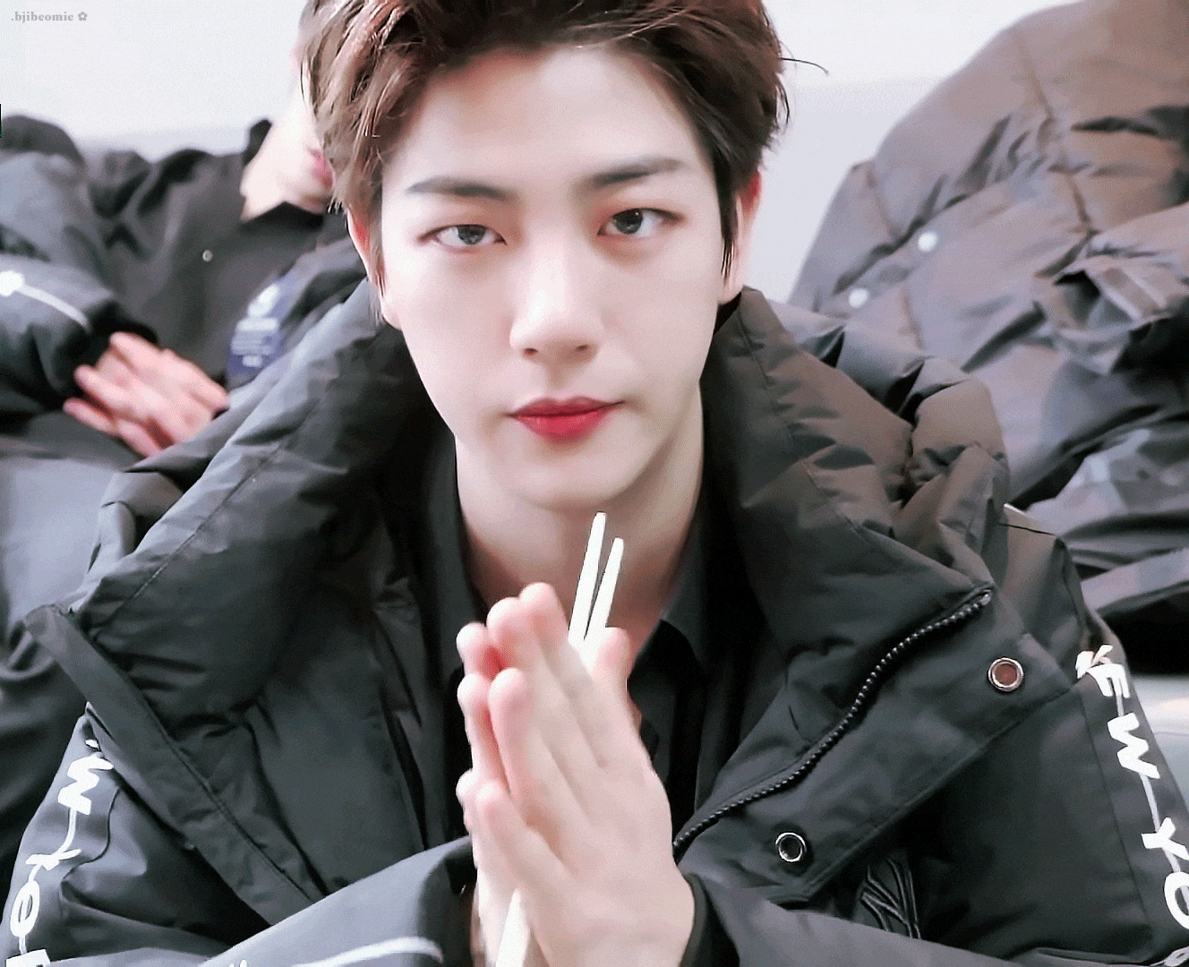 진짜 호랭이처럼 생김 - 인스티즈(instiz) 익명예잡 진짜 호랭이처럼 생김