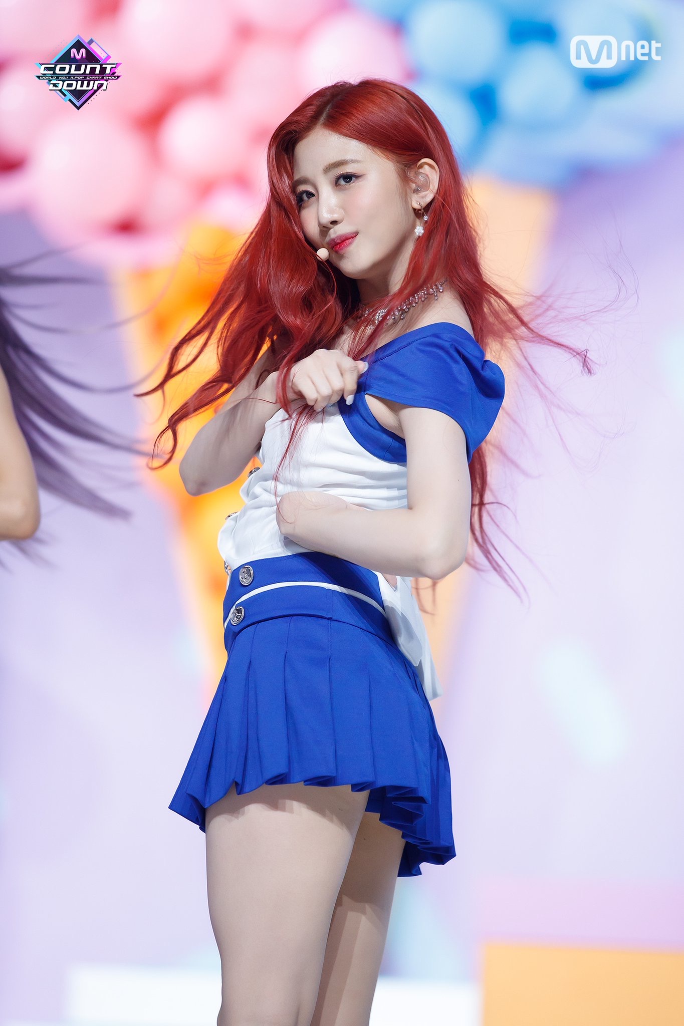 강아지가 염색해도 되는거야??? | 인스티즈