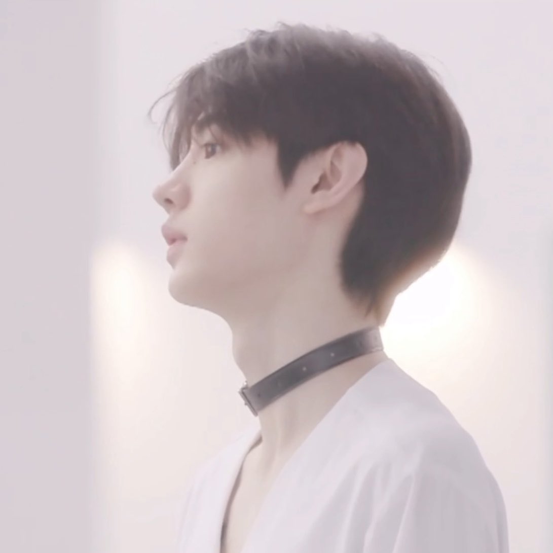 박성훈 초커차고 강아지흉내내는거 | 인스티즈