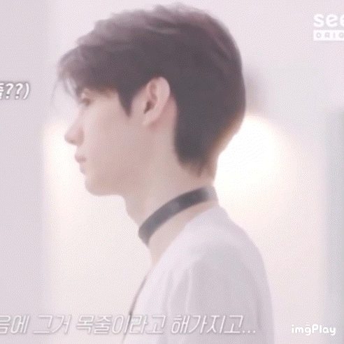 박성훈 초커차고 강아지흉내내는거 | 인스티즈