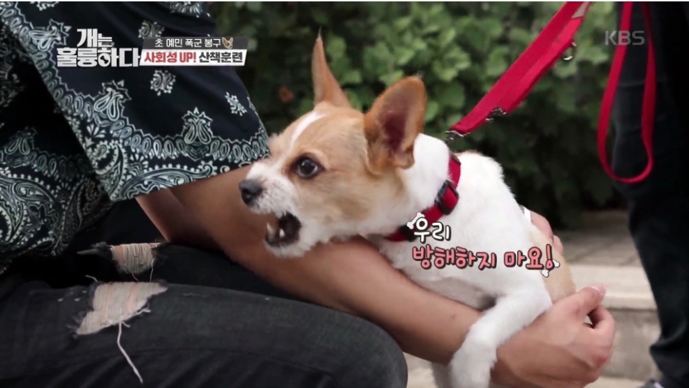 뉴종현이 너무 너무 너무 좋아 | 인스티즈