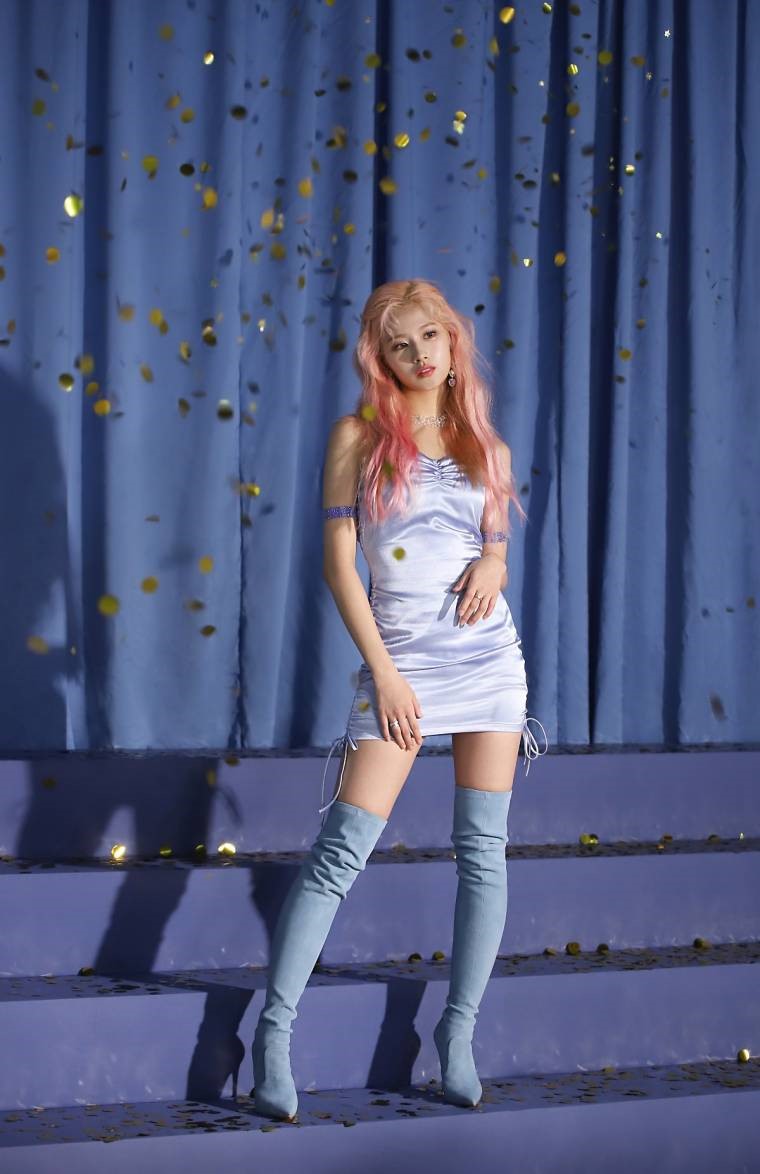 제발 찾아주세요 ㅠㅠ 사진 사나 레전드 사진인데 ㅠㅠ | 인스티즈