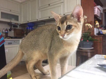 #강오리_생일축하해 #Happy_Ori_Day | 인스티즈