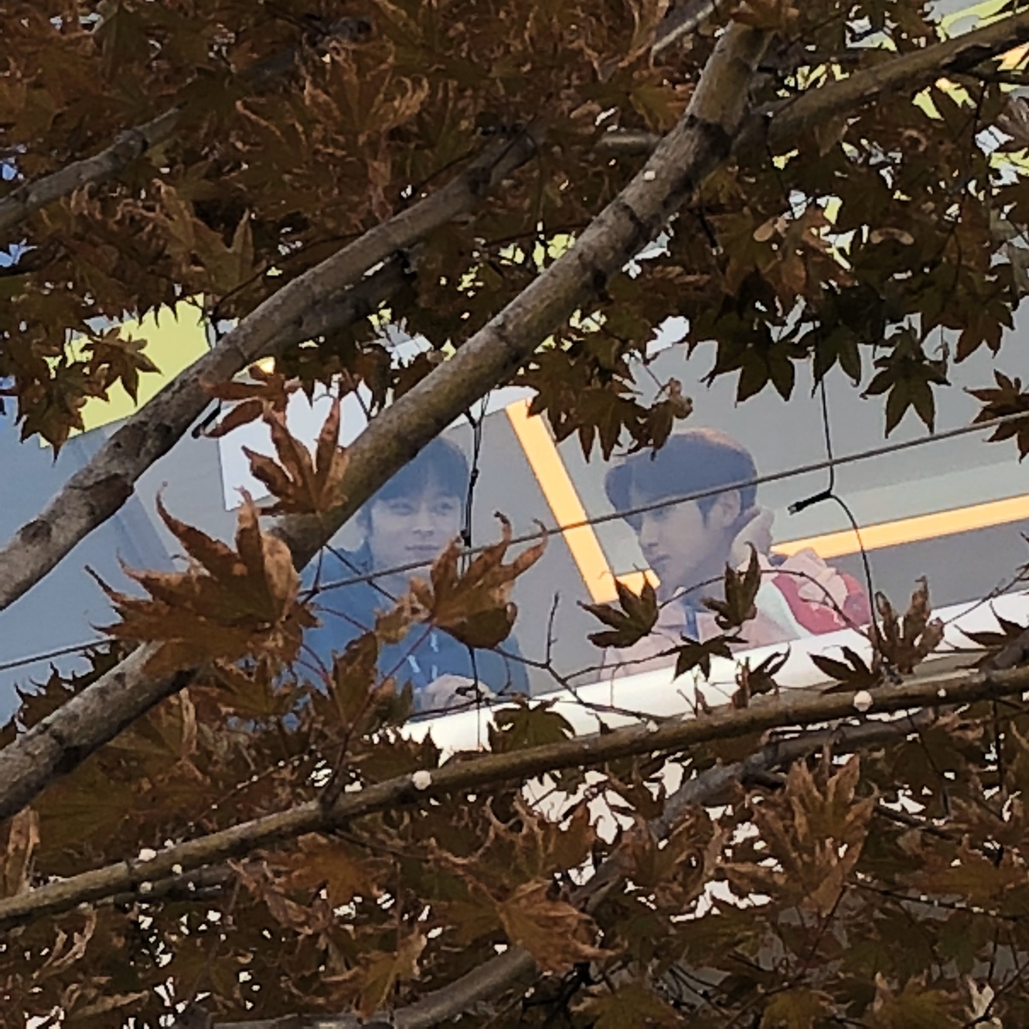 아 개웃겨 아이돌이 동물원 가서 구경하는중ㅋㅋㅋㅋㅋㅋㅋㅋ | 인스티즈