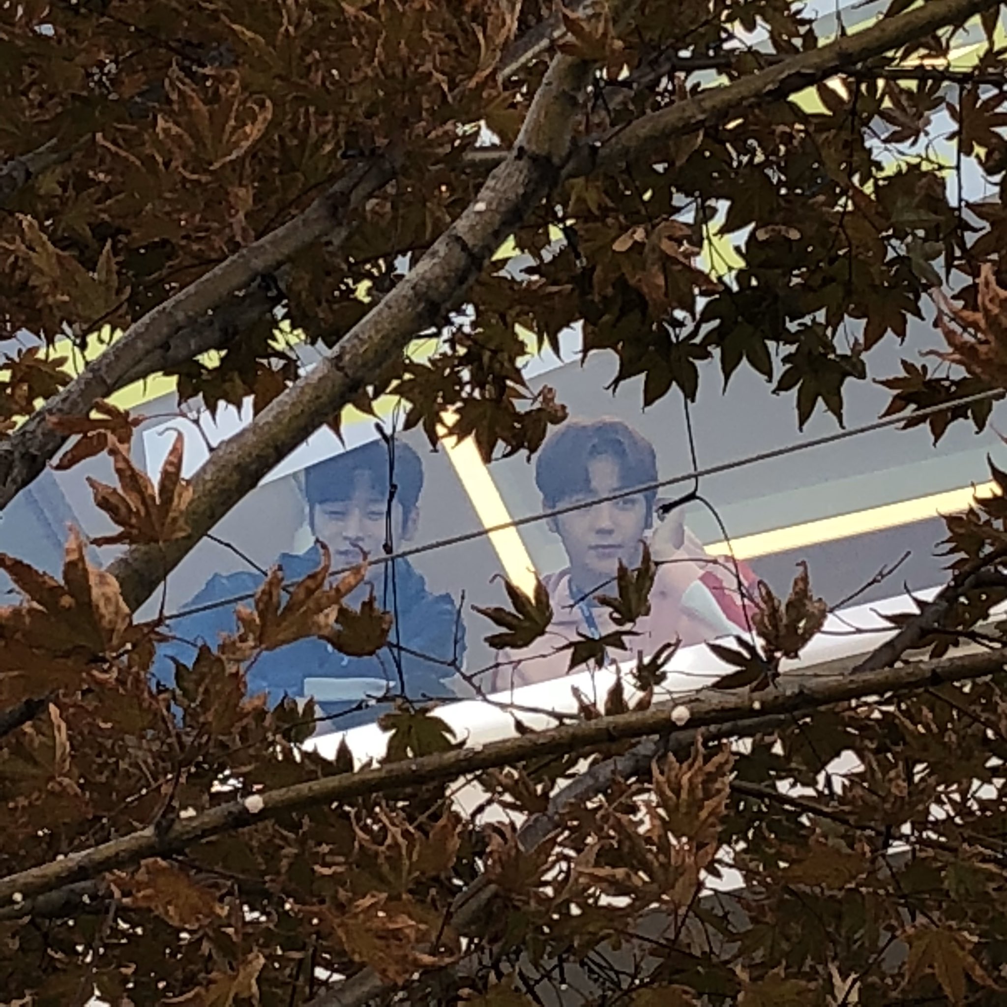 아 개웃겨 아이돌이 동물원 가서 구경하는중ㅋㅋㅋㅋㅋㅋㅋㅋ | 인스티즈