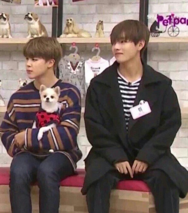 내가 조와하는 방탄덩치차이... | 인스티즈