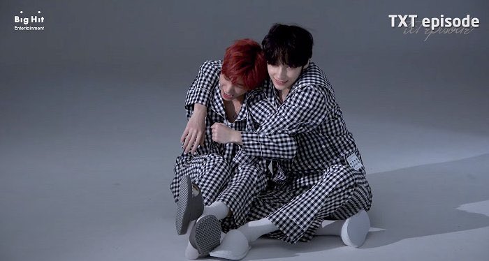 이거 진짜 예민한 고양이랑 그냥 고양이 좋아하는 대형견 같이 나옴 | 인스티즈