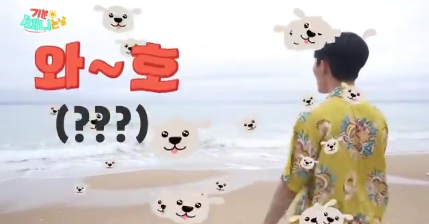 천재강아지ㅋㅋㅋㅋㅋㅋㅋㅋㅋㅋㅋㅋㅋㅋ주어는.. 김재환.. | 인스티즈