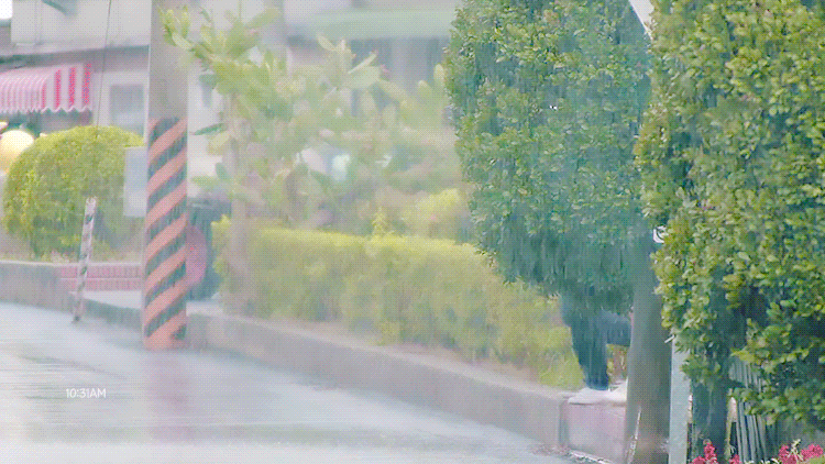 상견니 마지막회 나만 폭풍오열했니..? | 인스티즈