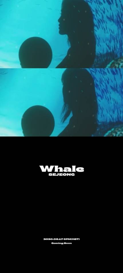 17일(월), 🐬세정 디싱 &lt;Whale&gt; 발매🐬 | 인스티즈