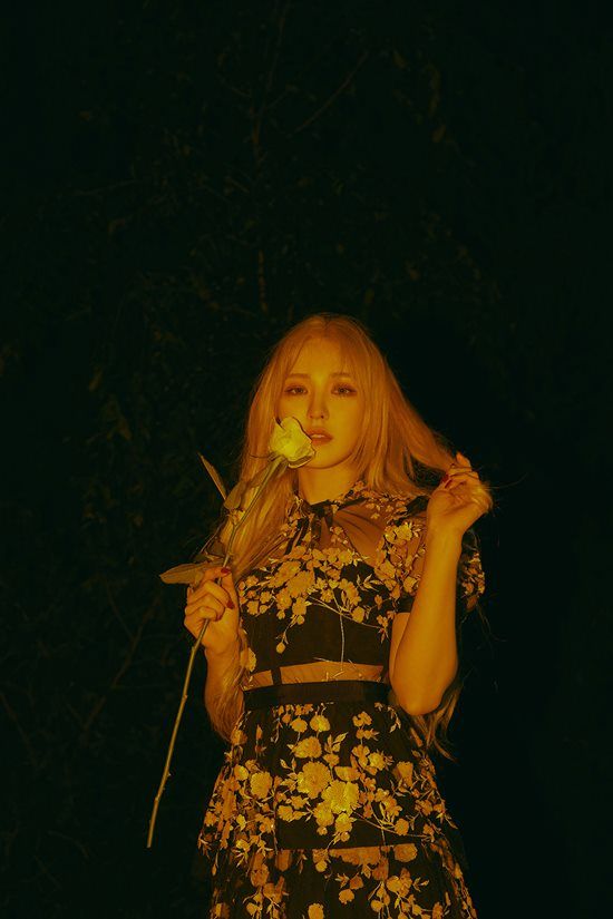 팬아저 정리 | 인스티즈