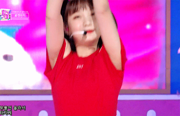 큰방 익들아 나 진짜 진지한데 익들 보기엔 우리 강아지 어떤 스타일링이 더 예쁘니✊ | 인스티즈