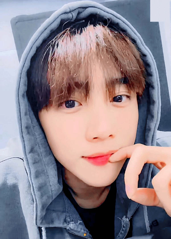 하 나 지금 김선우 브이앱 못 듣는다고 | 인스티즈