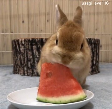 전정국 일어났냐 | 인스티즈