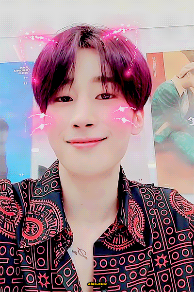 나 고양이 키우는데(길잃아님) | 인스티즈