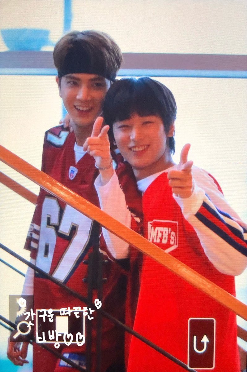 사르르말랑아기 인싸 고양이 | 인스티즈