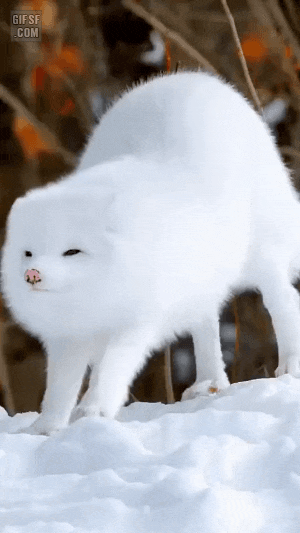 # 이거 김선우 | 인스티즈