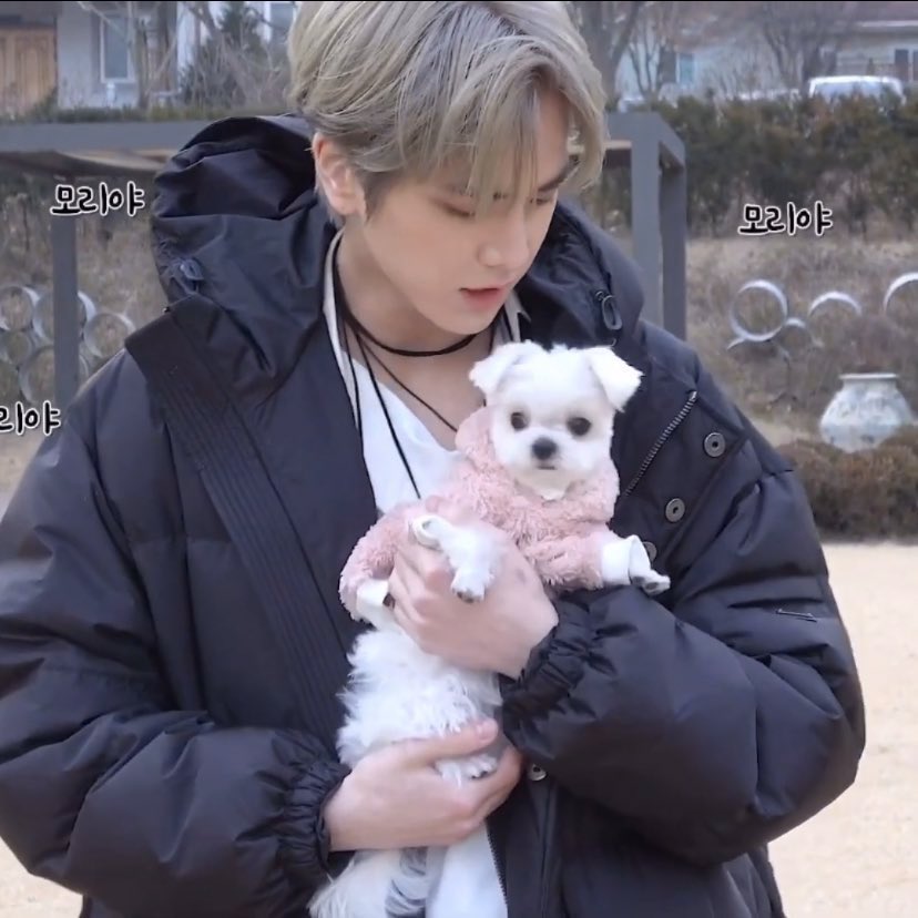 다롱이 보리 모리 볼트 보고싶다 | 인스티즈