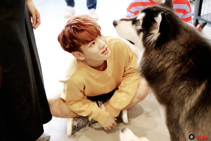 업텐션 내가 많이많이 사랑해💛 | 인스티즈