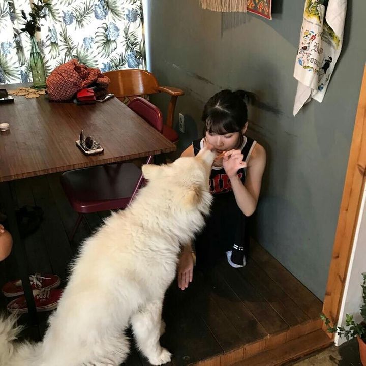 힐링되는 아이유x반려견, 반려묘 짤들.jpg | 인스티즈