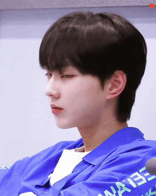 근데 아이랜드에 여우상 둘 있는데 | 인스티즈