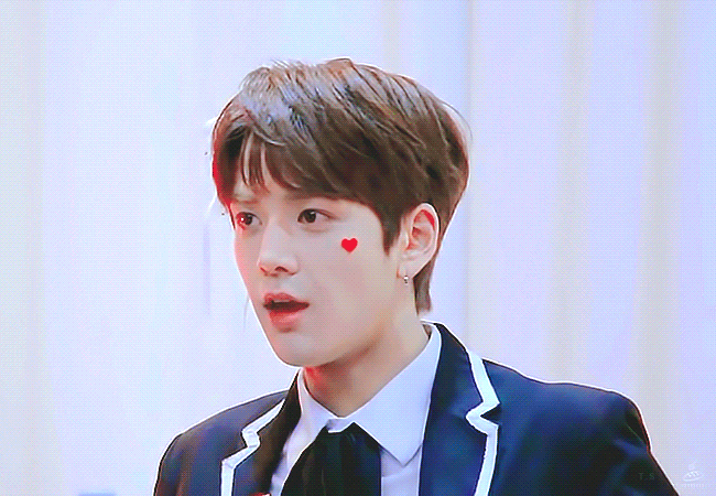 영훈이 붕방 아가 말티쥬 된 이유 | 인스티즈