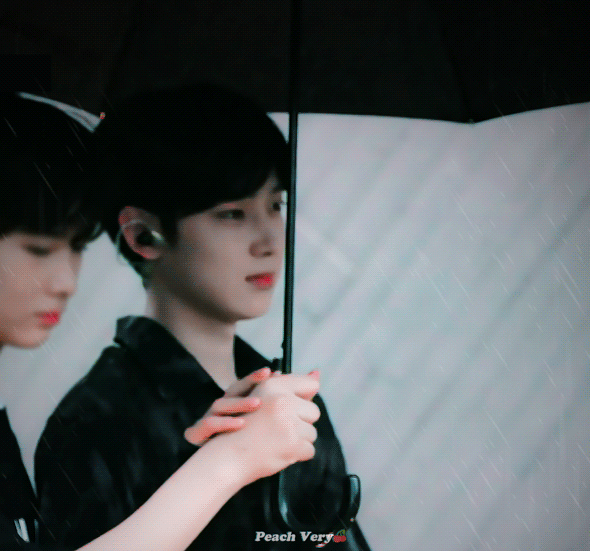 아이랜드 이 조합이면 성공 안하는게 이상함 | 인스티즈