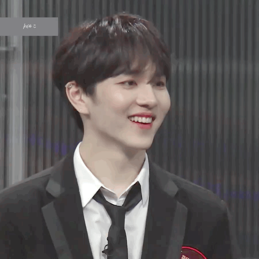 내 최애들 소나무인지 봐줘..ㅎㅎㅎ | 인스티즈