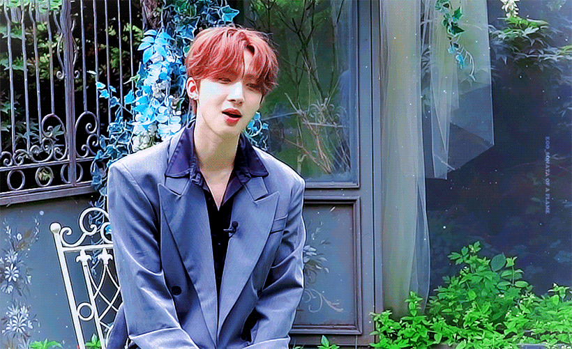 [잡담] 후이 이회택 사진 움짤 짤털글 | 인스티즈