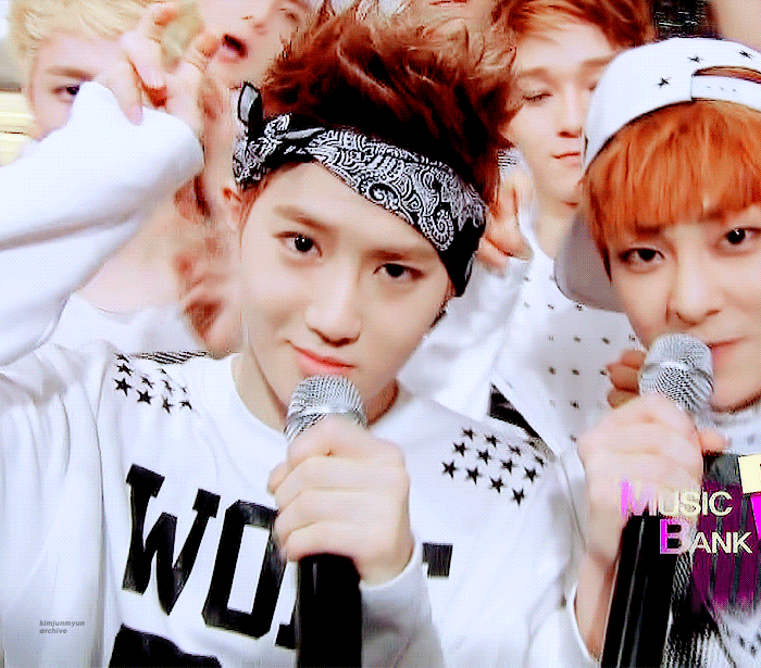 하.... 내새끼 돌려줘 | 인스티즈