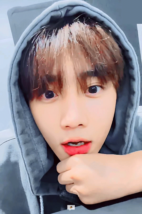 우리 너구리 댓글 놀이 하려다가 댓글 너무 빨라서 브이앱 킨 거 실화냐 | 인스티즈