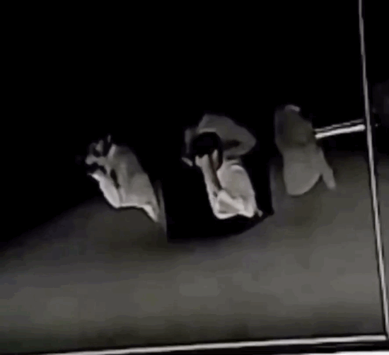 아이랜드 선우랑 성훈이 같이 춤추는거 | 인스티즈