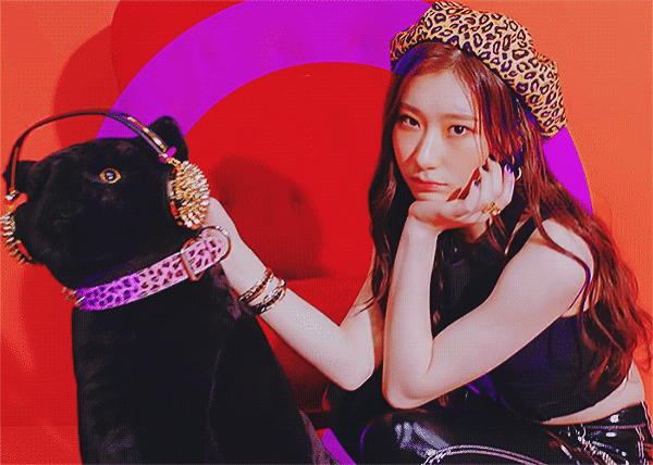 있지 관심생겨서 짤 모았는데 | 인스티즈