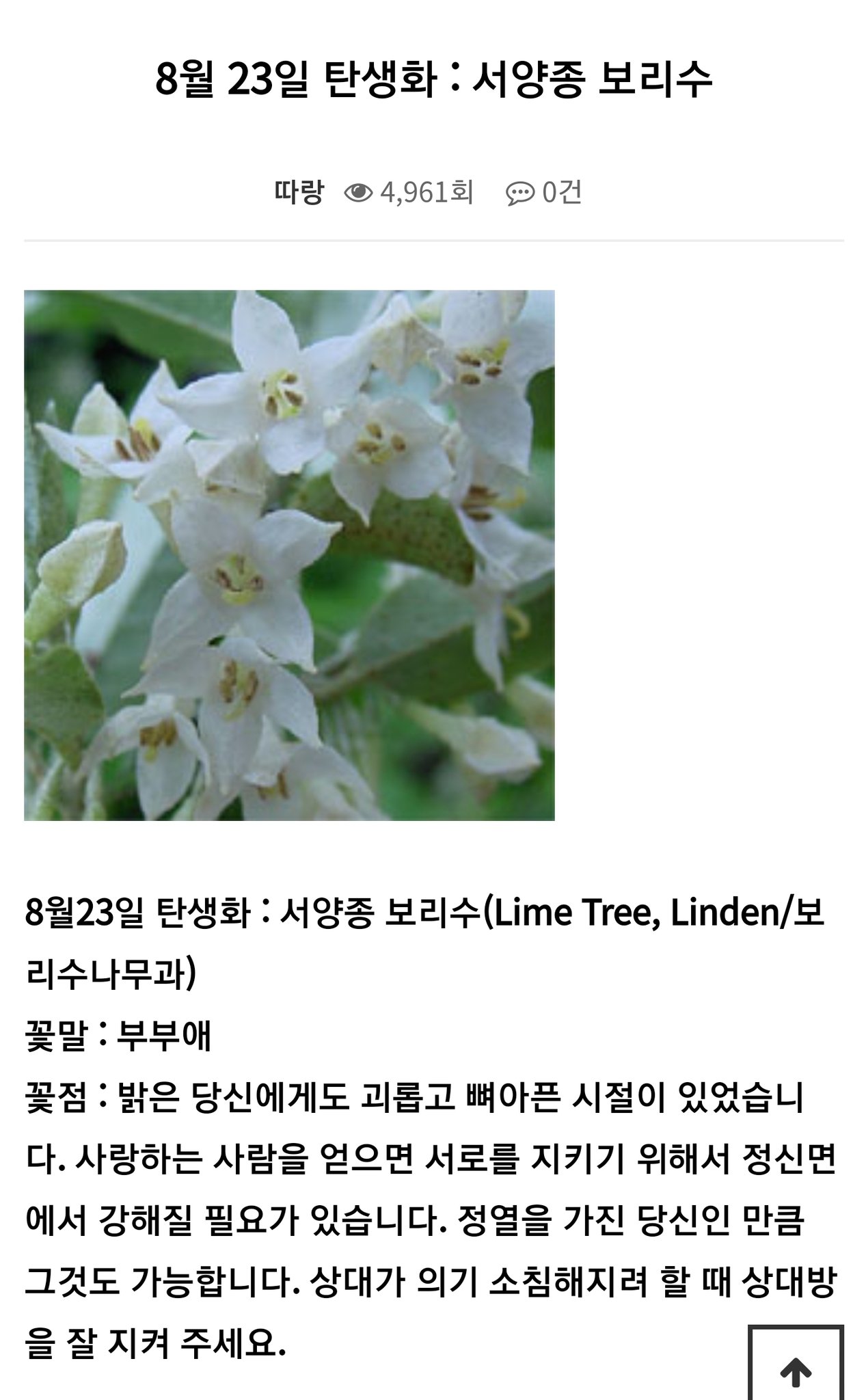 근데 8월 23일 탄생화 대박이네 - 인스티즈(instiz) 김재환 카테고리