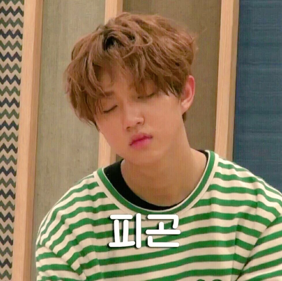 우리 골차들은 다 자는거지.....? | 인스티즈